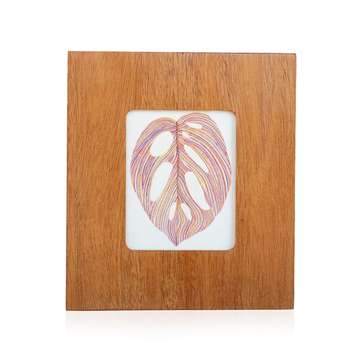 Monstera Drawing Solo 2